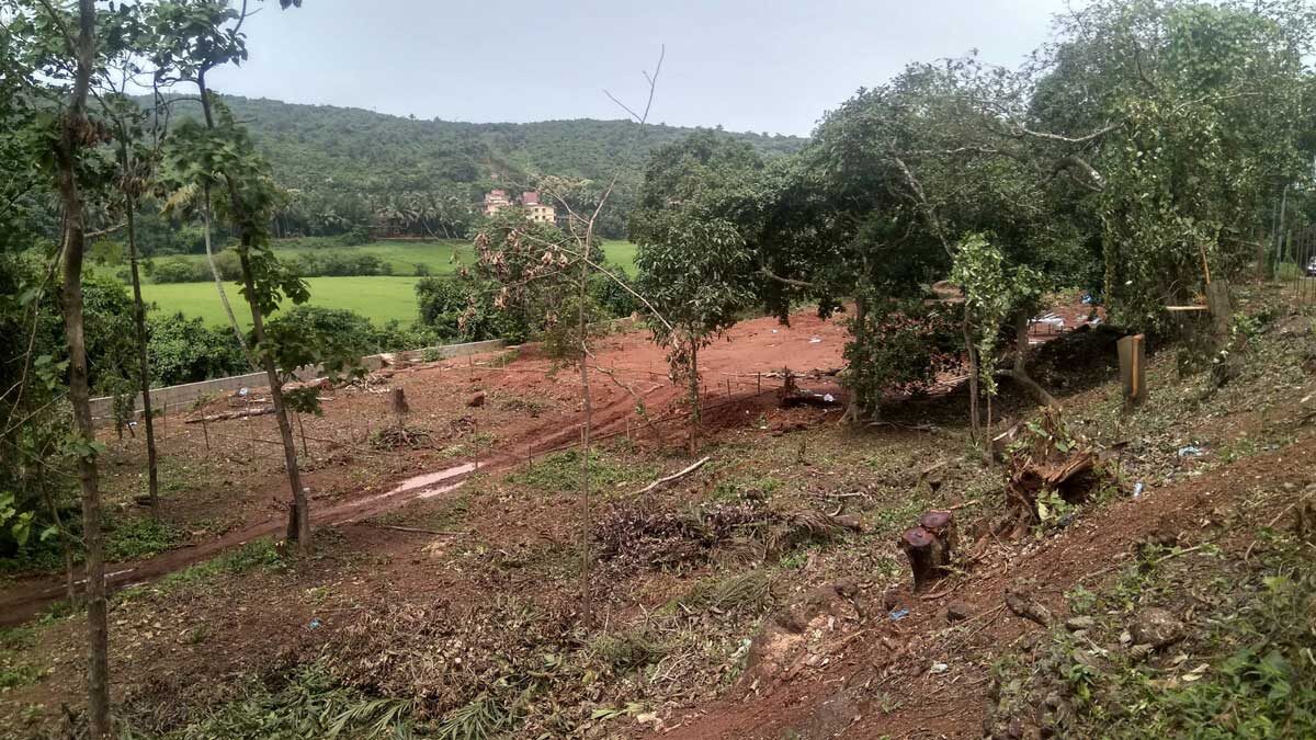 Goa’s environment faces problems from infrastructure boom