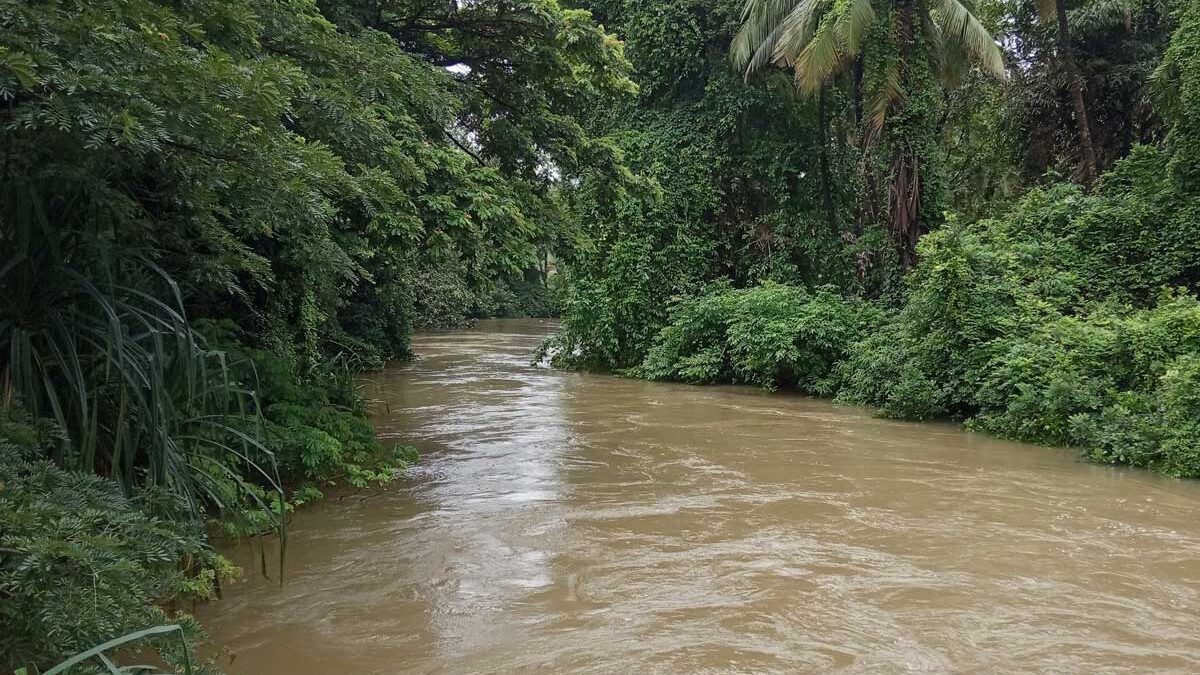 Badly designed highways splinter Goa’s waterways, disrupting local hydrology